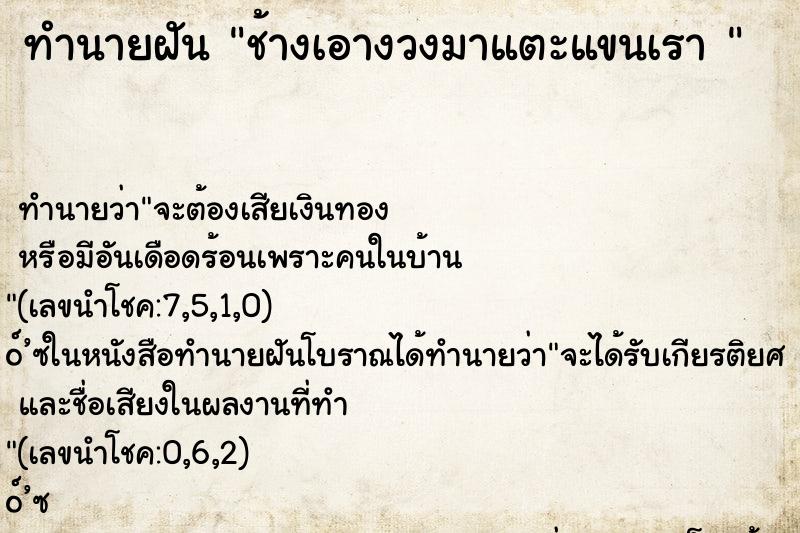 ทำนายฝัน ช้างเอางวงมาแตะแขนเรา 
